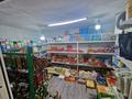 Магазины и бутики · 28 м² за 28 млн ₸ в Каскелене — фото 2