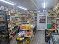 Магазины и бутики · 28 м² за 28 млн ₸ в Каскелене — фото 4