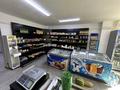 Магазин · 60 м² за 8 млн ₸ в Шымкенте, Каратауский р-н — фото 11