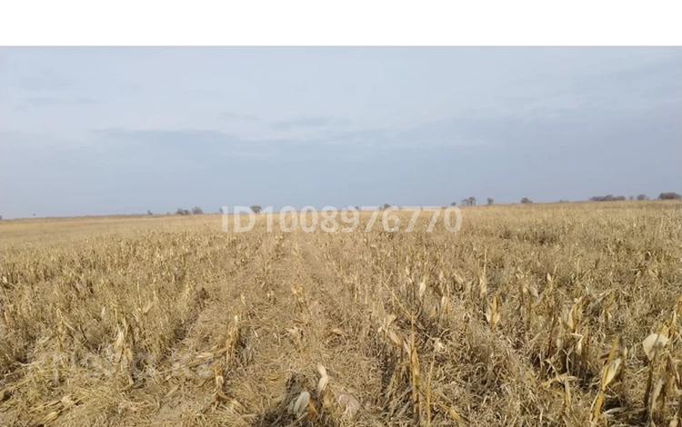 Участок · 6 га, Послек туганбай за 2.5 млн ₸ в Алматинской обл., Талгарский р-н — фото 2