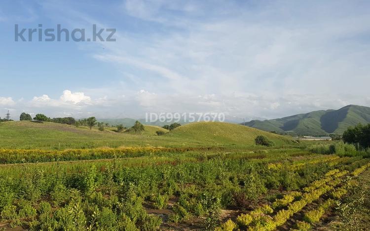 Участок · 1 га, Жандосов за 75 млн 〒 — фото 3
