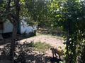 Отдельный дом · 4 комнаты · 80 м² · 6.5 сот., Сланова 101 — Акынсара мен Быржан сал за 23 млн ₸ в Талдыкоргане — фото 5