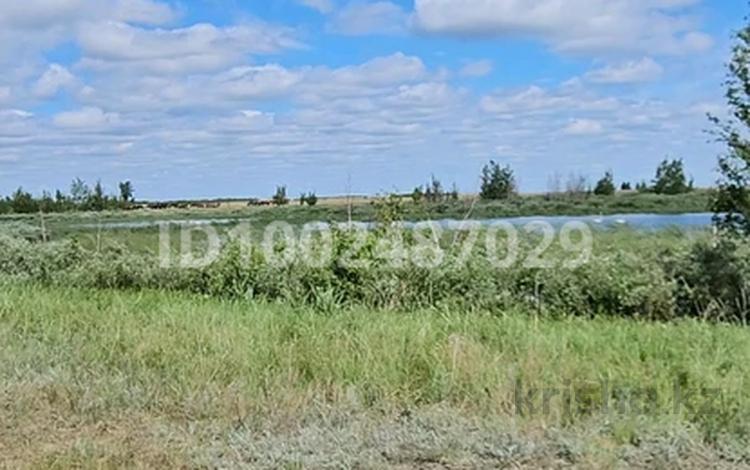 Участок · 1500 га, Акмолинская обл. за 5.5 млн 〒 — фото 2
