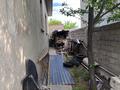 Жеке үй · 7 бөлме · 238 м² · 8 сот., мкр Нуртас 1819 — улица маржантас дом 32 рядом школа 72, бағасы: 150 млн ₸ в Шымкенте, Каратауский р-н — фото 12