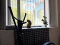 2-комнатная квартира · 55.4 м² · 1/3 этаж, мкр Михайловка , Абая 3 за 25 млн ₸ в Караганде, Казыбек би р-н — фото 6