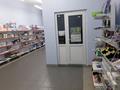 Магазины и бутики • 90.3 м² за 43 млн 〒 в Усть-Каменогорске — фото 6