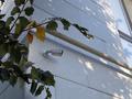 3-комнатная квартира · 64 м² · 1/3 этаж, мкр Курамыс, Сейдимбек 25/44 за 65 млн ₸ в Алматы, Наурызбайский р-н — фото 22