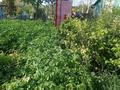 Дача · 1 комната · 20 м² · 6.2 сот., 2 дачная 886 — Борки за 2 млн ₸ в Петропавловске — фото 35