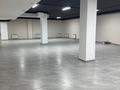 Свободное назначение · 262 м² за 105 млн ₸ в Астане, Есильский р-н — фото 7