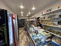 Бизнес Аптека Магазин Стоматология · 120 м², бағасы: 35 млн ₸ в Герасимовке — фото 4