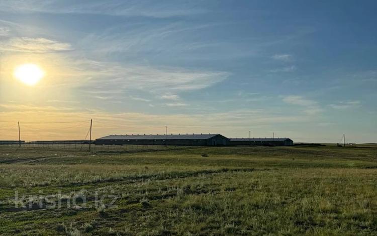 Участок · 17 соток, Горпрокуратура 14,16 за 4.5 млн ₸ в Актобе, жилой массив Кирпичный — фото 6