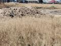 Участок · 0.2104 га, Участок 1116 за ~ 7.7 млн ₸ в Туркестане — фото 2