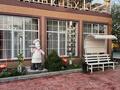 EL riza family resort, · 3300 м² за 820 млн ₸ в Акши — фото 27