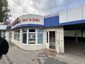 Здания · 123.4 м² за 200 млн ₸ в Астане — фото 5