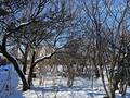 Участок · 30 соток, Подстанция 40 — Возле юридического колледжа за 30 млн 〒 в Есик — фото 6