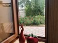 Отдельный дом · 4 комнаты · 166.7 м² · 6.05 сот., Орманова 3 — Абылай хана за 89 млн ₸ в  — фото 35