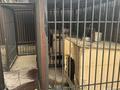 Жеке үй · 5 бөлме · 225 м² · 20 жүзд., Боралдай ш/а., бағасы: 150 млн ₸ в Алматы, Алатауский р-н — фото 11