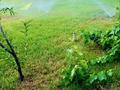 Жеке үй · 5 бөлме · 200 м² · 8 сот., Массив Арай, ул. Майлы кожа, бағасы: 65 млн ₸ в Таразе — фото 29