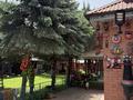 Отдельный дом · 5 комнат · 205 м² · 16 сот., Тилемиса за 85 млн ₸ в  — фото 2