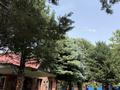 Отдельный дом · 5 комнат · 205 м² · 16 сот., Тилемиса за 85 млн ₸ в  — фото 5
