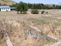 Участок · 1 га, Санатория — Зона отдыха Көк көл за 20 млн ₸ в Мерке — фото 3