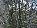 Отдельный дом · 5 комнат · 150 м² · 8 сот., мкр Болашак, Мкр Болашак Переулок ударный за 48 млн ₸ в Актобе — фото 17