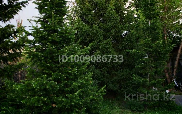 Саяжай · 3 бөлме · 45 м² · 12 сот., С.Самсоновка, С/О Мелиоратор ж/м — С/О Мелиоратор ж/м, бағасы: 6.8 млн ₸ в Усть-Каменогорске — фото 21