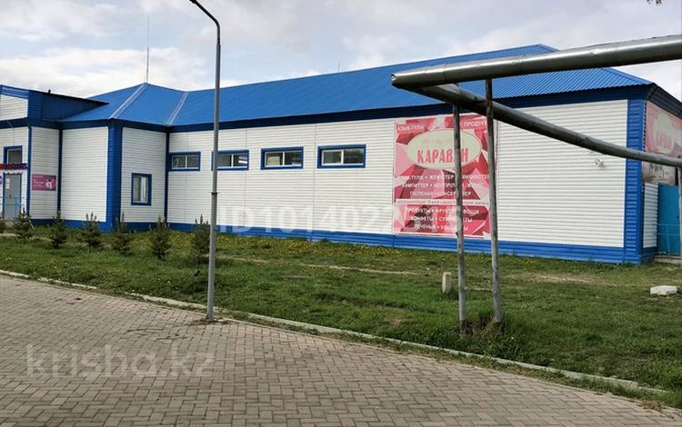 Еркін, кеңселер, дүкендер мен бутиктер, қоймалар, қоғамдық тамақтану орны, сұлулық салондары, медорталықтар мен дәріханалар · 801 м², бағасы: 125 млн ₸ в  — фото 2