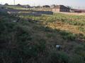 Участок · 12 соток, мкр Акжар за 12 млн ₸ в Шымкенте, Абайский р-н — фото 2