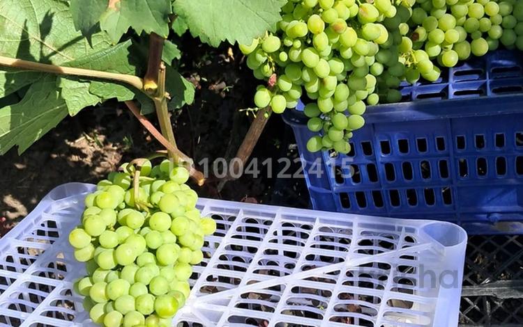 Жеке үй · 3 бөлме · 40 м² · 10 жүзд., Статистик 44, бағасы: 6.5 млн ₸ в Усть-Каменогорске, Ульбинский — фото 39