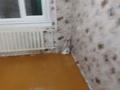 1-комнатная квартира, 31 м², 1/5 этаж, интернациональная 79 за 8.5 млн 〒 в Петропавловске — фото 3