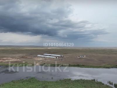 Готовое КХ 955 га | 2 фермы | перспектива орошения · 3800 м², бағасы: 120 млн ₸ в Кушокы