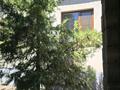 Отдельный дом · 4 комнаты · 140 м² · 10 сот., Есимхан ахметов 85 за 19 млн ₸ в Арыси — фото 4