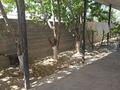 Отдельный дом · 4 комнаты · 140 м² · 10 сот., Есимхан ахметов 85 за 19 млн ₸ в Арыси — фото 8