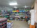 Магазины и бутики • 305 м² за 140 млн 〒 в Шымкенте — фото 3
