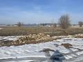 Участок · 30 соток, Береке АҚХ ЖЕТІСУ 301 за 59 млн ₸ в Ельтае — фото 7