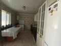 Часть дома · 4 комнаты · 150 м² · 10 сот., Жумекен — Жумекен село за 14 млн ₸ в Курмангазы (Ганюшкино) — фото 6