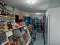 Магазины и бутики • 70 м² за 26.7 млн 〒 в Семее — фото 5