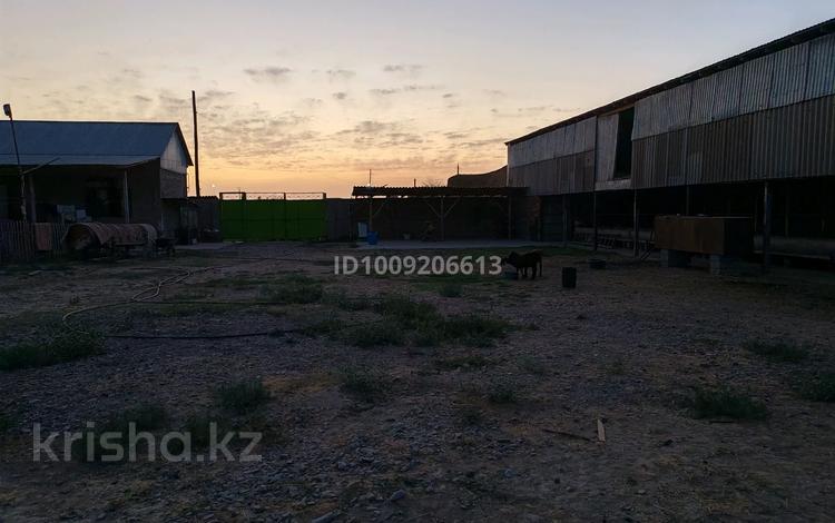 Фазенда · 50 м² за 46 млн ₸ в Абае — фото 2