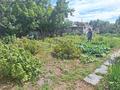 Часть дома · 3 комнаты · 61.7 м² · 7 сот., Али Омарова 9 — Посёлок Беловка за 7.5 млн ₸ в Аксу — фото 3