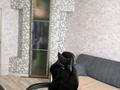 5-бөлмелі пәтер · 108.1 м² · 5/9 қабат, Абая 68, бағасы: 33 млн ₸ в Экибастузе — фото 10