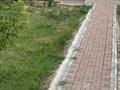 Отдельный дом · 4 комнаты · 238 м² · 25 сот., Ак Кайнар за ~ 30 млн ₸ в Жандосов — фото 15