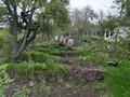 Участок · 50 соток, мкр Сулусай за 225 млн ₸ в Алматы, Медеуский р-н — фото 12