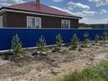 Жеке үй · 3 бөлме · 180 м², 5-я Звёздная 32, бағасы: 60 000 ₸ в Бурабае — фото 12