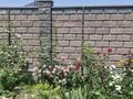 Отдельный дом · 6 комнат · 200 м² · 8 сот., Дихан 19 за 62.5 млн ₸ в Жамбыл — фото 27