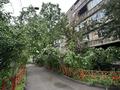 3-бөлмелі пәтер · 70 м² · 2/5 қабат, Есенова 36 — Пушкина -Райымбека, бағасы: 43 млн ₸ в Алматы, Медеуский р-н