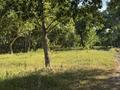 Участок · 20 соток, БН 103 — Реки Ульба за 9.9 млн ₸ в  — фото 13