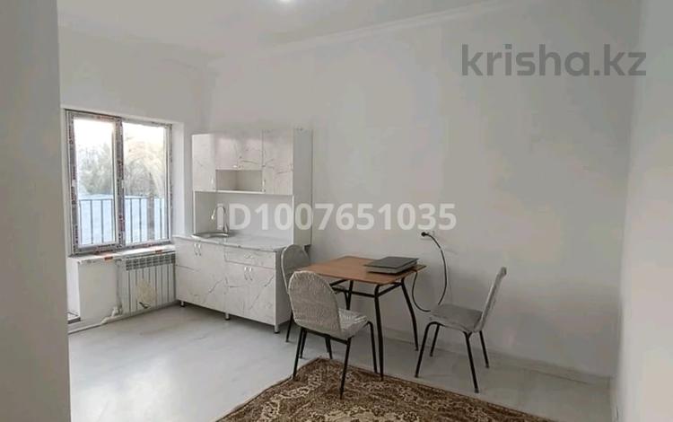 1-комнатная квартира · 28 м² · 2/2 этаж, Грибоедова — Проезд между Дулати и Казыбек би за 150 000 ₸ в Шымкенте, Аль-Фарабийский р-н — фото 3