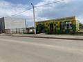 Готовая зерновая лаборотория · 45.5 м² за 19.9 млн ₸ в Есиль — фото 7
