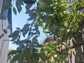 Жеке үй · 5 бөлме · 185.8 м² · 8 жүзд., Малькеева 88а, бағасы: 56 млн ₸ в Бирлик — фото 11